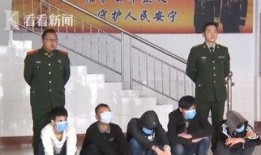 沧州中学爆料案件真相视频,揭秘背后惊人内幕